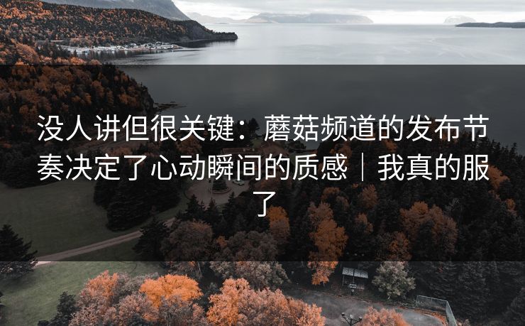 没人讲但很关键：蘑菇频道的发布节奏决定了心动瞬间的质感｜我真的服了