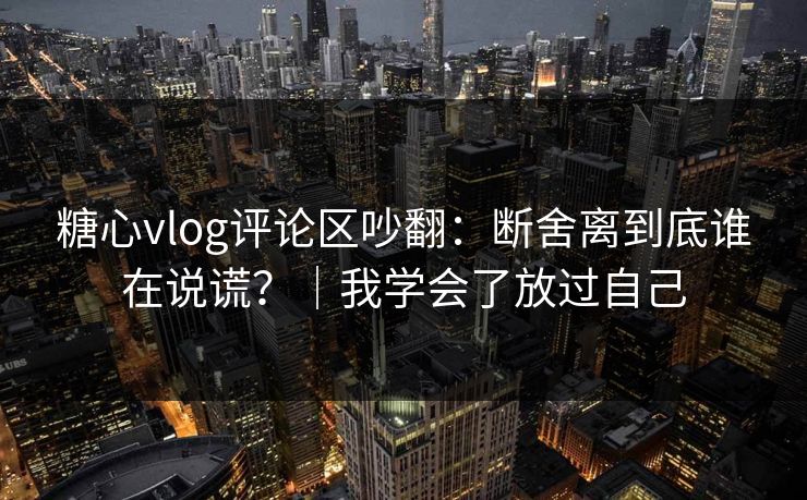 糖心vlog评论区吵翻：断舍离到底谁在说谎？｜我学会了放过自己