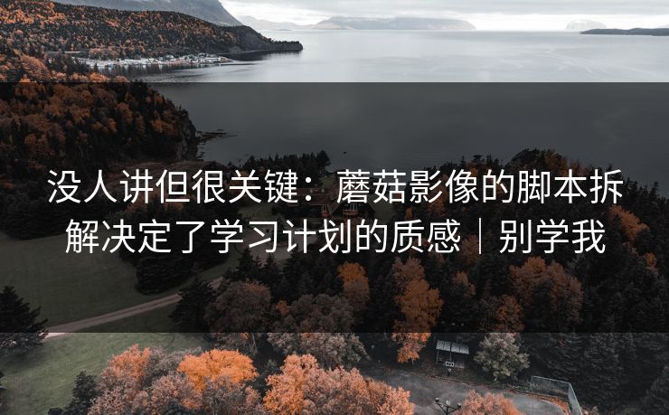 没人讲但很关键：蘑菇影像的脚本拆解决定了学习计划的质感｜别学我