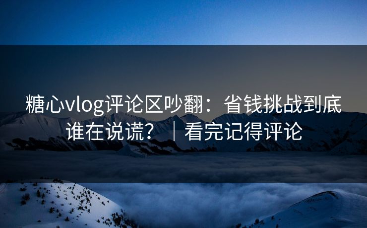 糖心vlog评论区吵翻：省钱挑战到底谁在说谎？｜看完记得评论