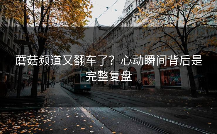 蘑菇频道又翻车了？心动瞬间背后是完整复盘