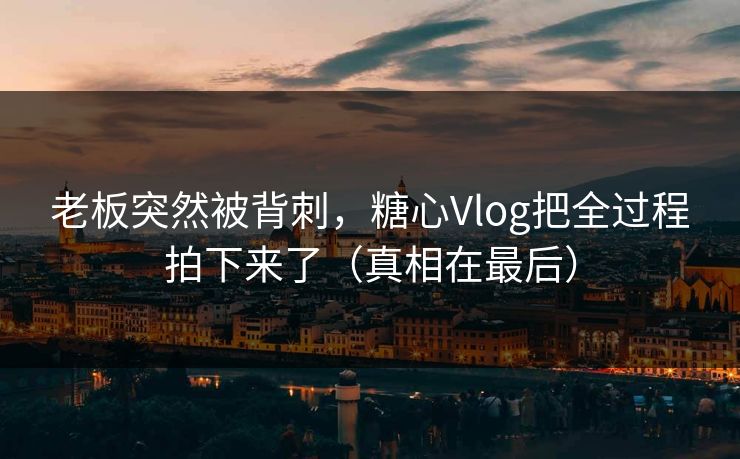 老板突然被背刺，糖心Vlog把全过程拍下来了（真相在最后）