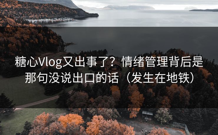 糖心Vlog又出事了？情绪管理背后是那句没说出口的话（发生在地铁）