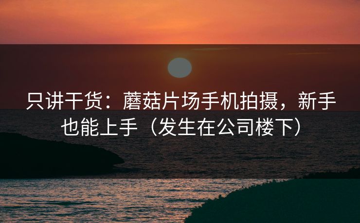只讲干货：蘑菇片场手机拍摄，新手也能上手（发生在公司楼下）