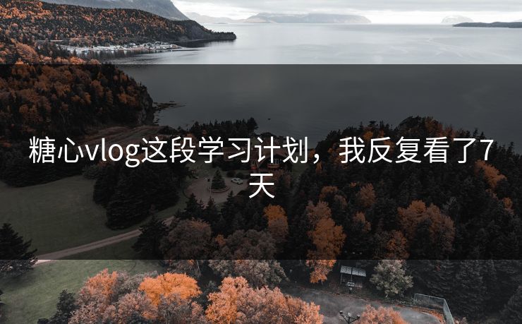 糖心vlog这段学习计划，我反复看了7天