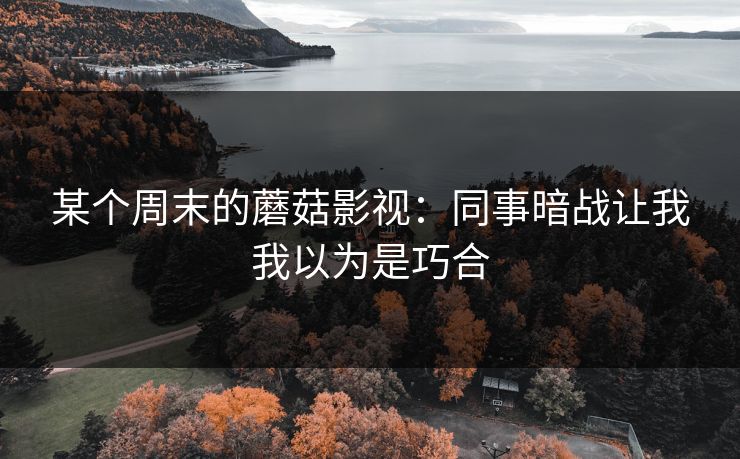 某个周末的蘑菇影视：同事暗战让我我以为是巧合